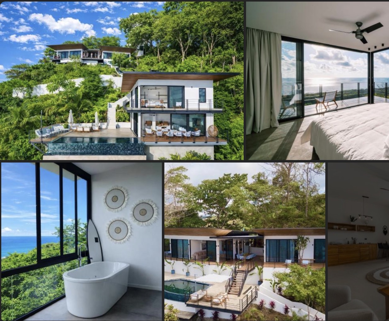 Hillside villa with infinity pool overlooking the jungle